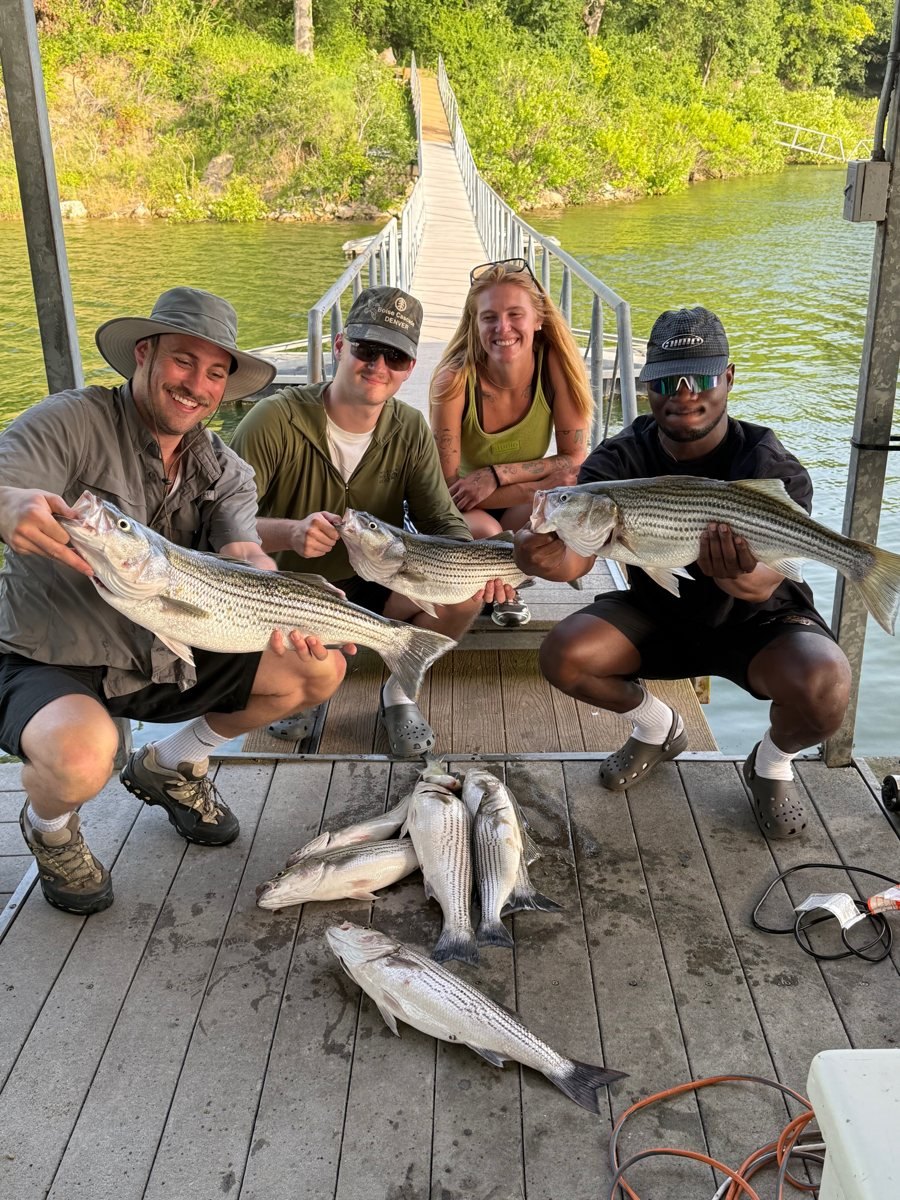 Four anglers posing with striped bass on the dock